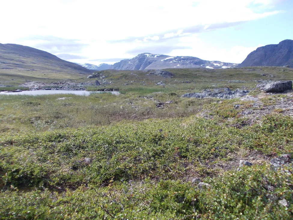 Klicka för att förstora