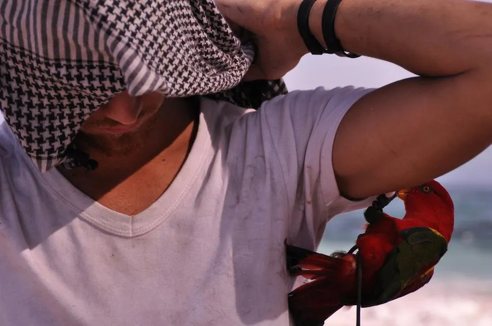 Klicka för att förstora