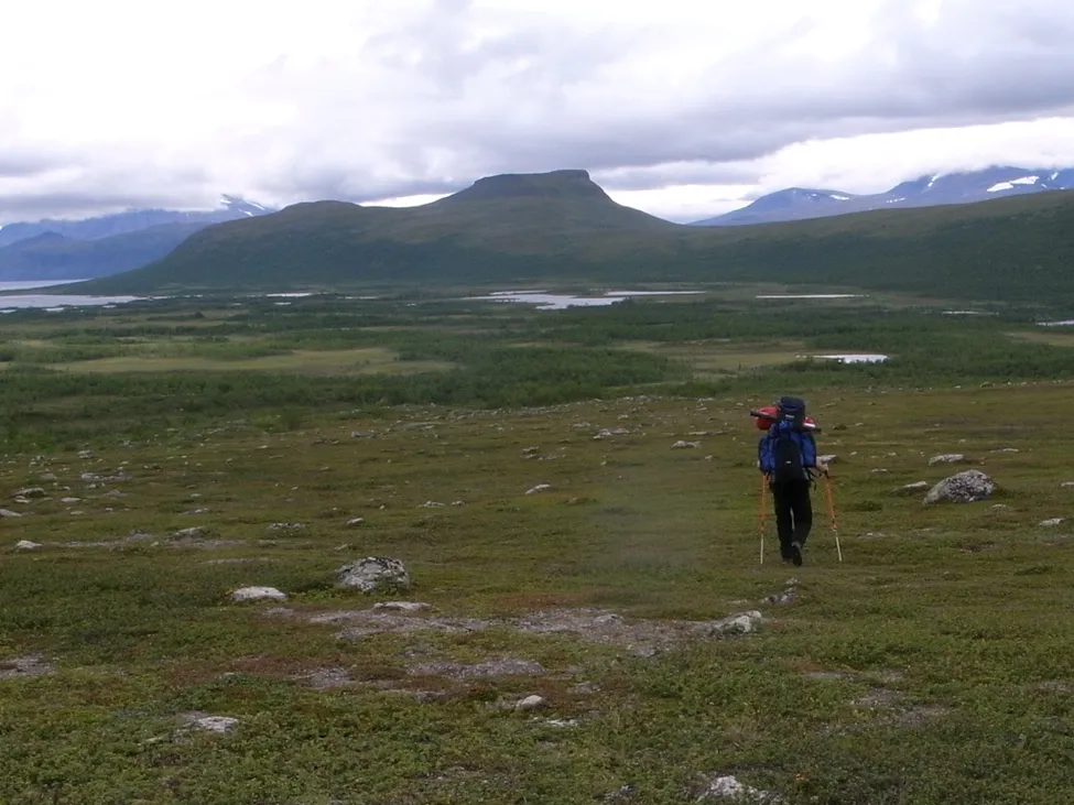 Klicka för att förstora