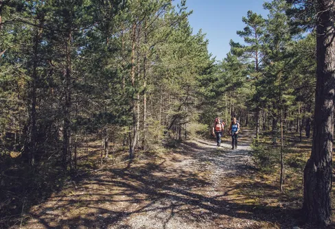 Ska du vandra eller paddla i sommar? Här hittar du packlistan!