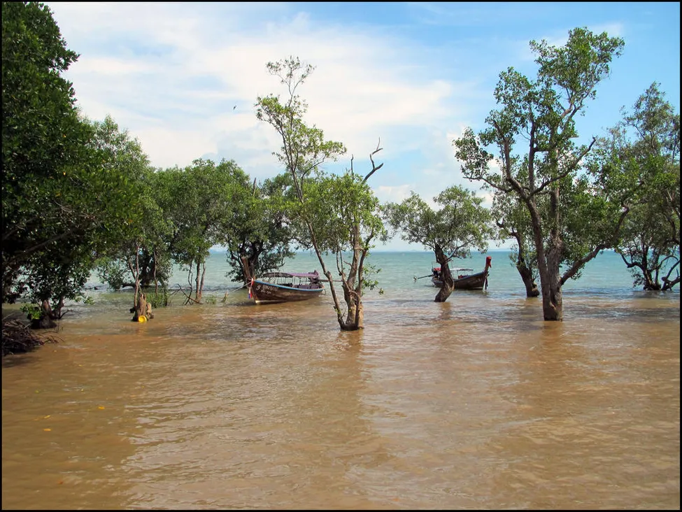 Klicka för att förstora