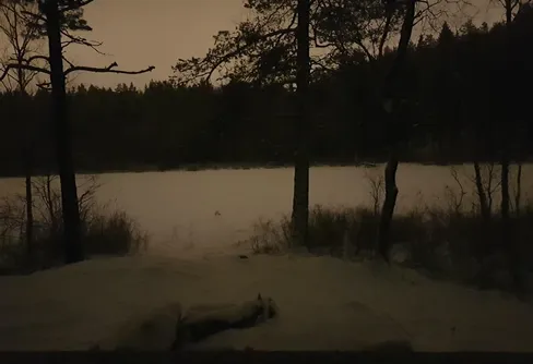 Sista natten ute under Januari månad 2019