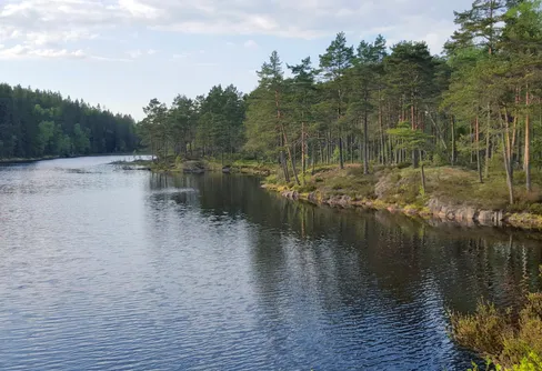 Tresticklans nationalpark motsvarade inte alls mina förväntningar.