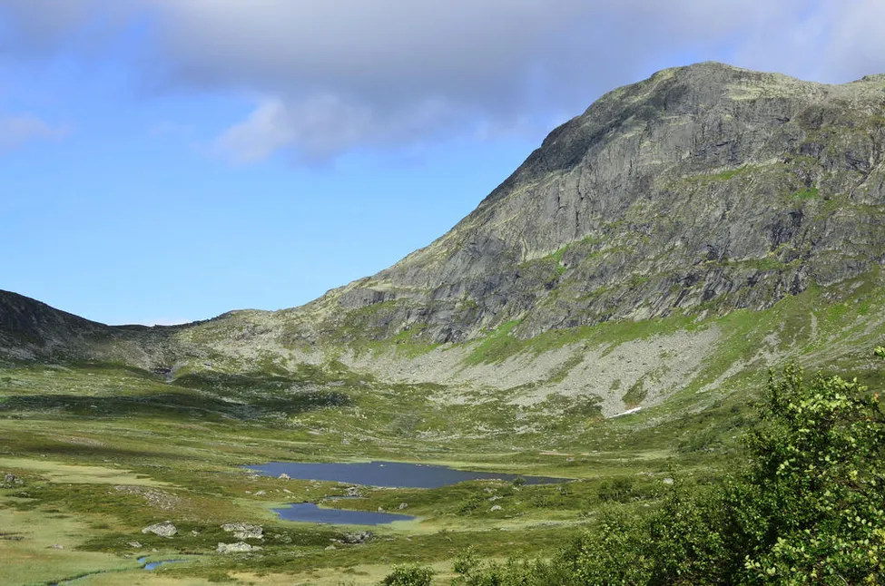 Klicka för att förstora