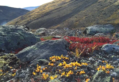 Den turen glömmer jag aldrig