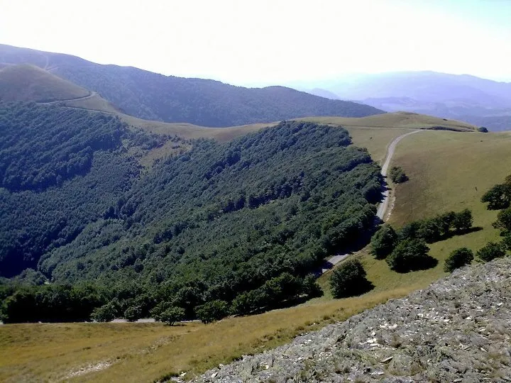 Klicka för att förstora