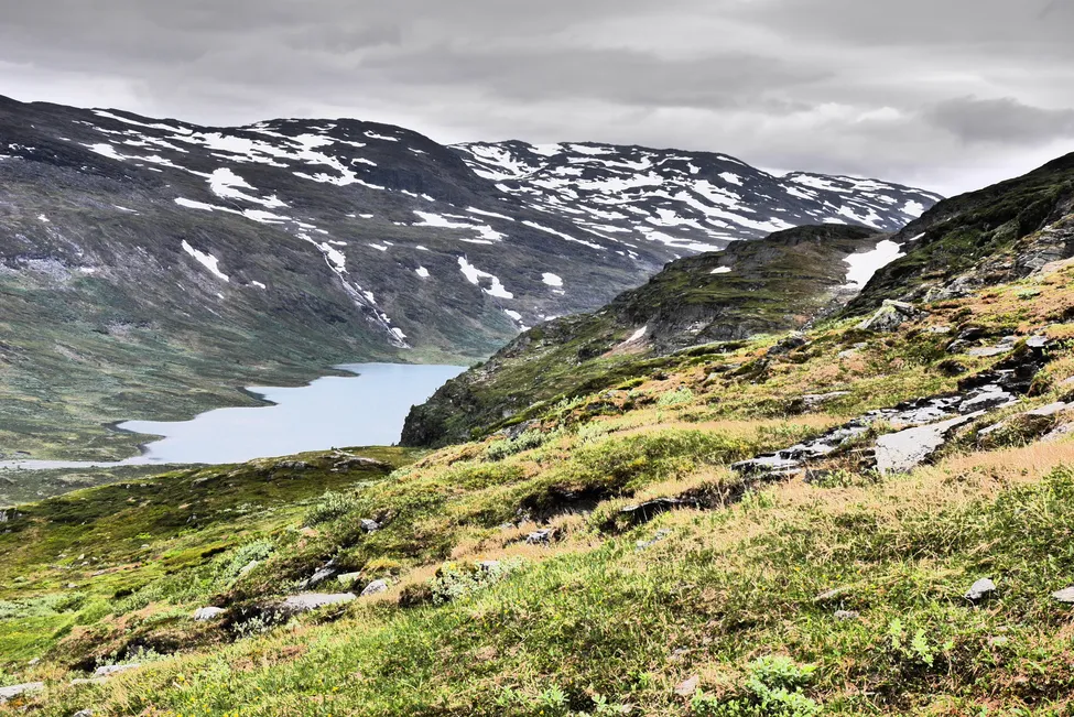 Klicka för att förstora