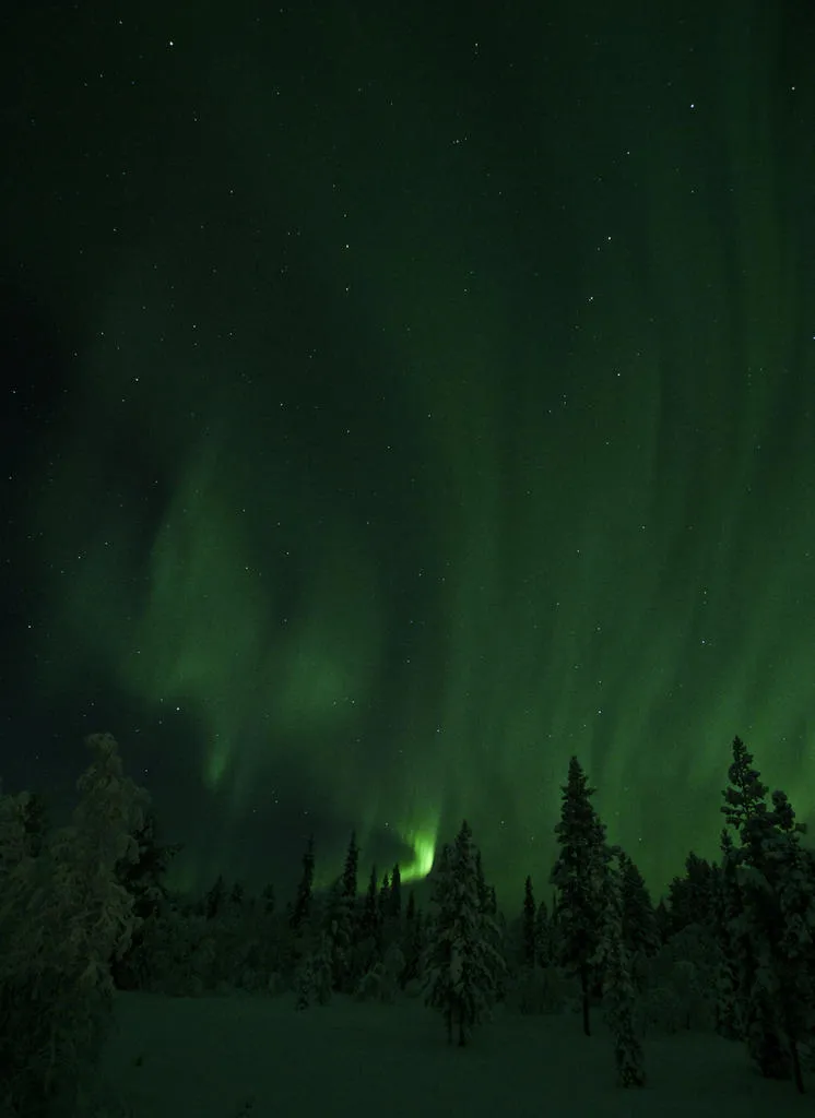 Klicka för att förstora