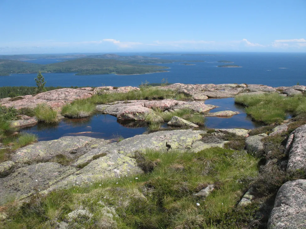 Klicka för att förstora