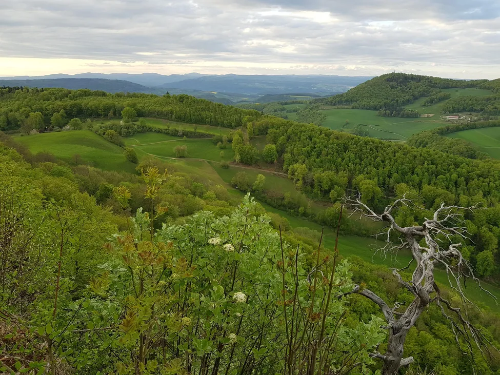Klicka för att förstora