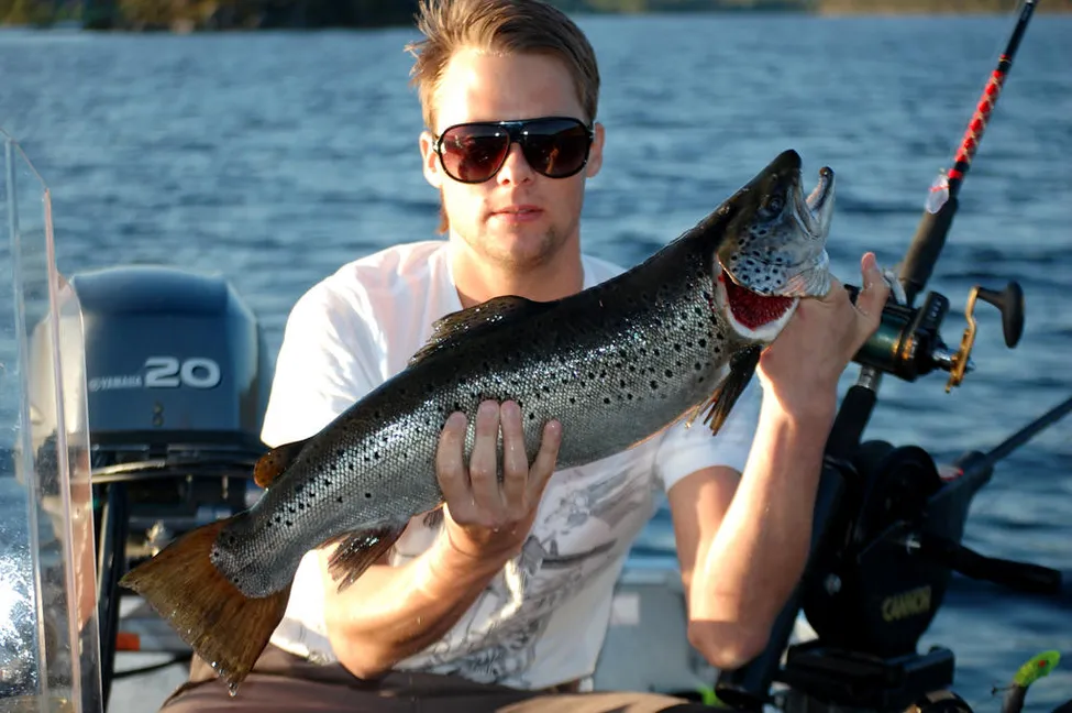 Klicka för att förstora