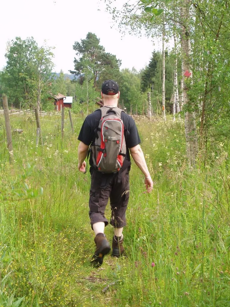 Klicka för att förstora