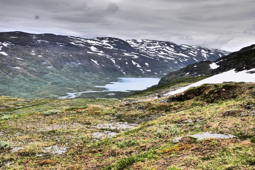 Klicka för att förstora