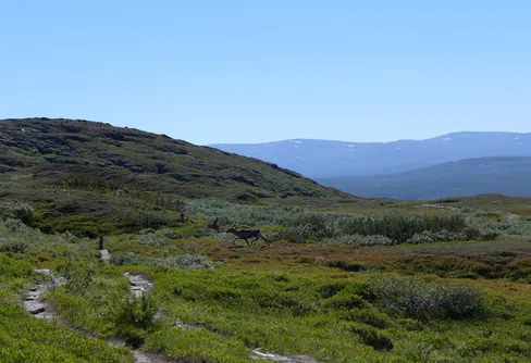 24 timmar av mitt liv (Del 1)