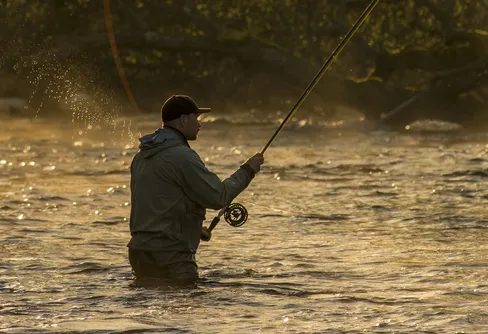 Prestigefylld utmärkelse till Mörrums Kronolaxfiske
