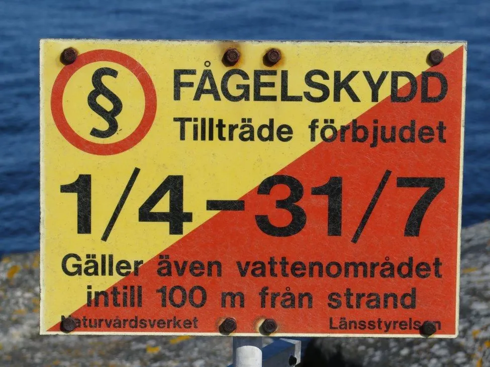 Klicka för att förstora