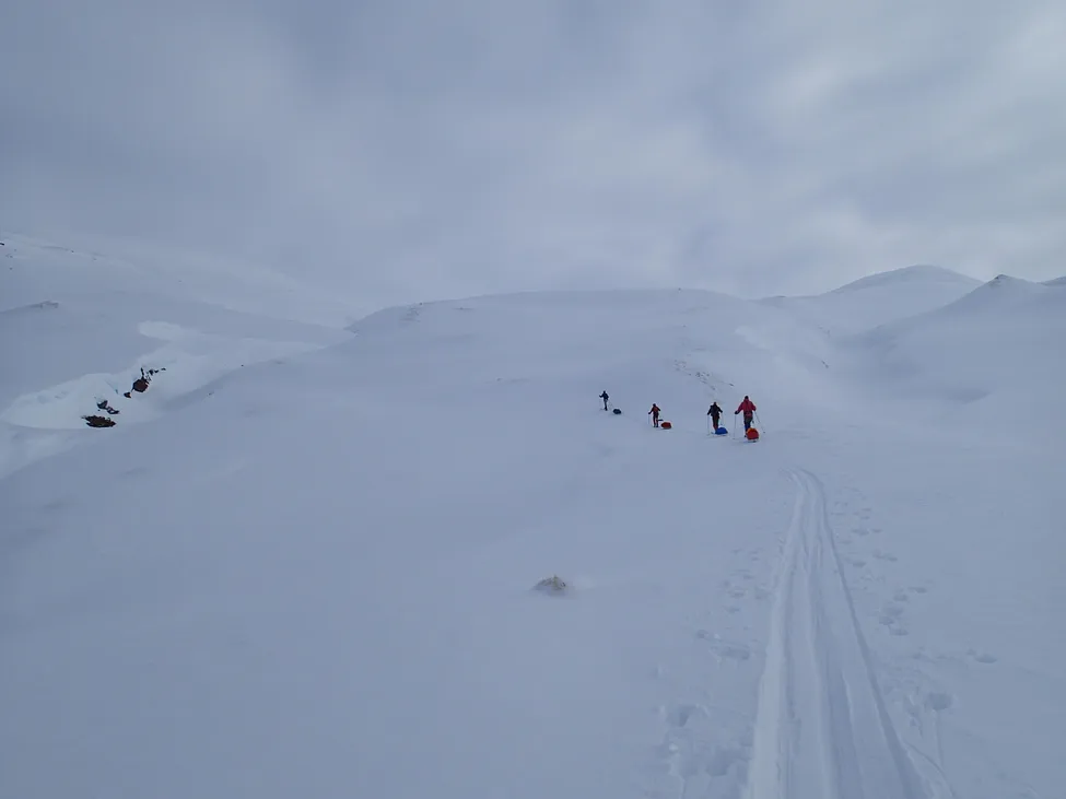 Klicka för att förstora