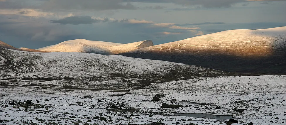Klicka för att förstora
