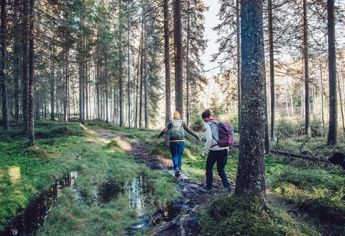 Höstmagi i Värmland