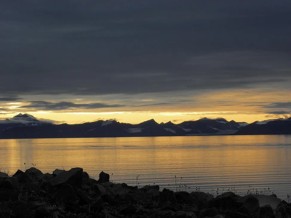 Klicka för att förstora