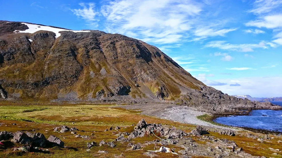 Klicka för att förstora