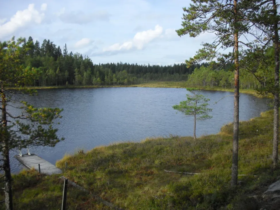 Klicka för att förstora