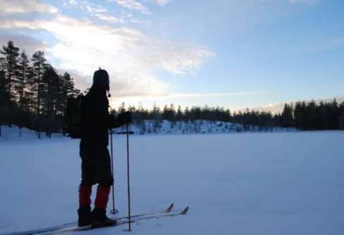 Gryning till skymning