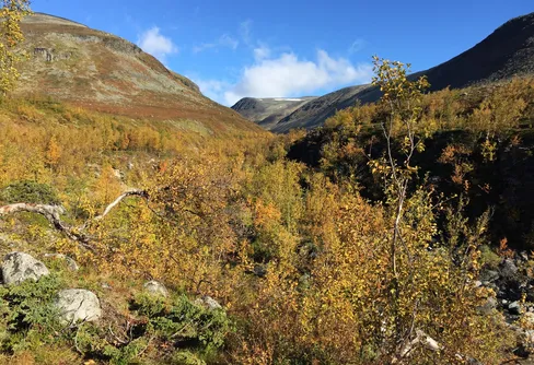 Den nya fjällupplevelsen - ny podcast