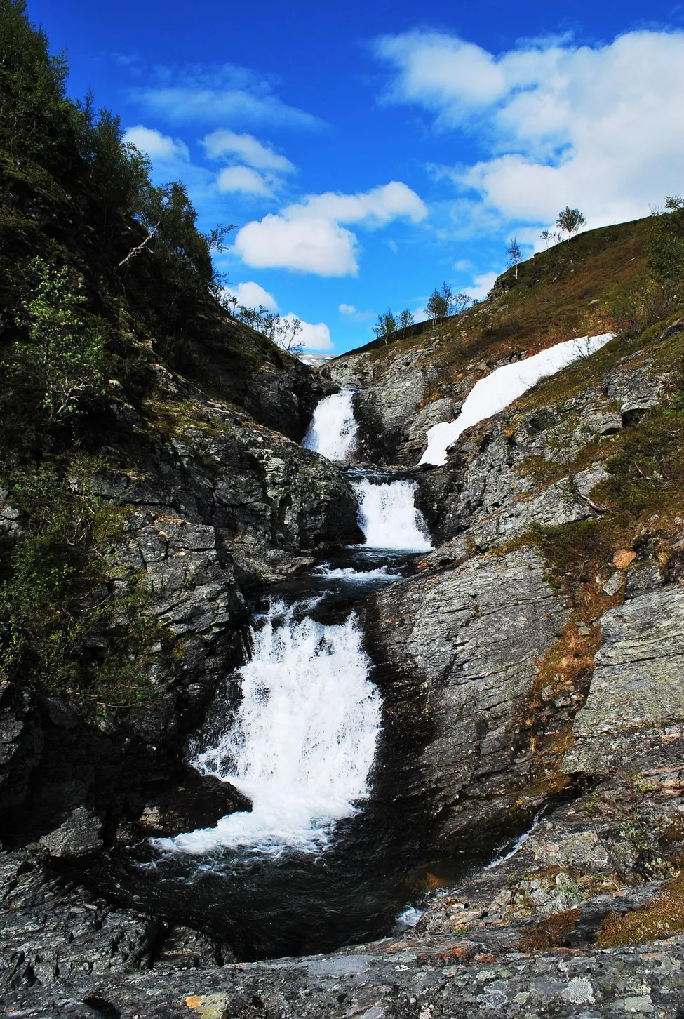 Klicka för att förstora