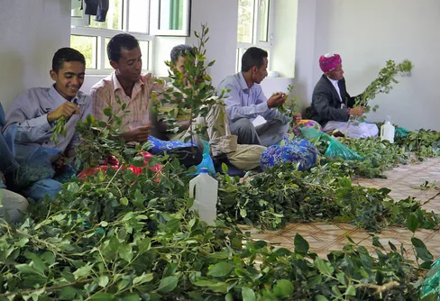 Expedition Jemen Med Kamel, rapport 3; Besök på landsbygden