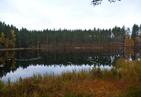 Höstvandring i Jätturn