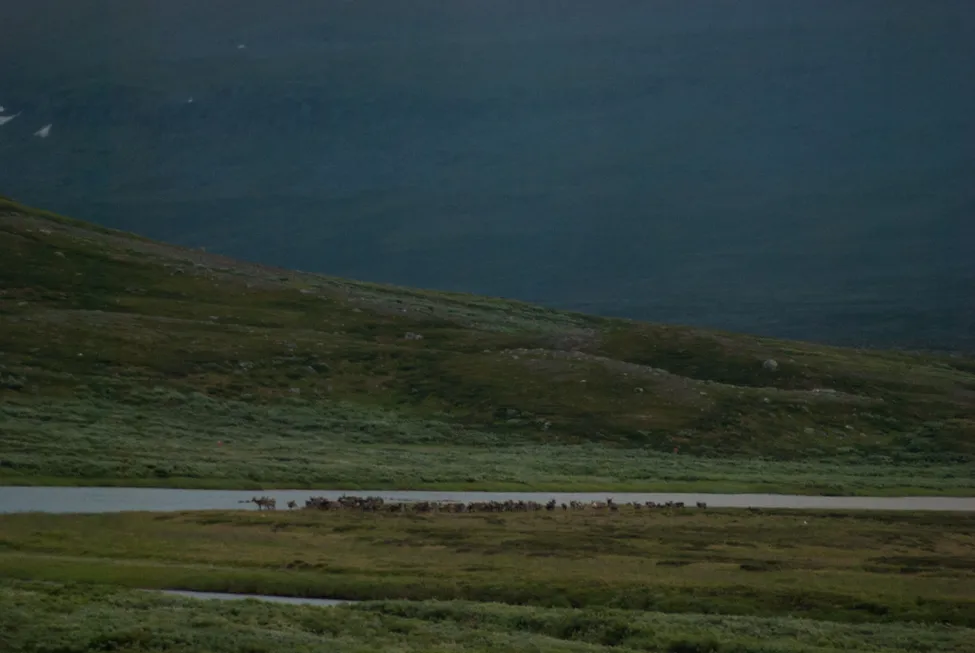 Klicka för att förstora