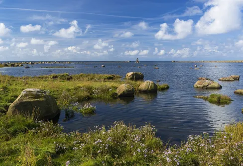 Årets 21 svenska naturpärlor utsedda av WWF