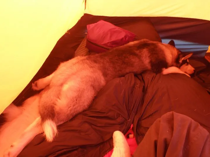 Klicka för att förstora