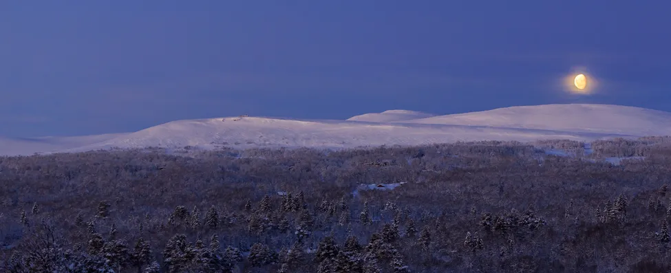 Klicka för att förstora