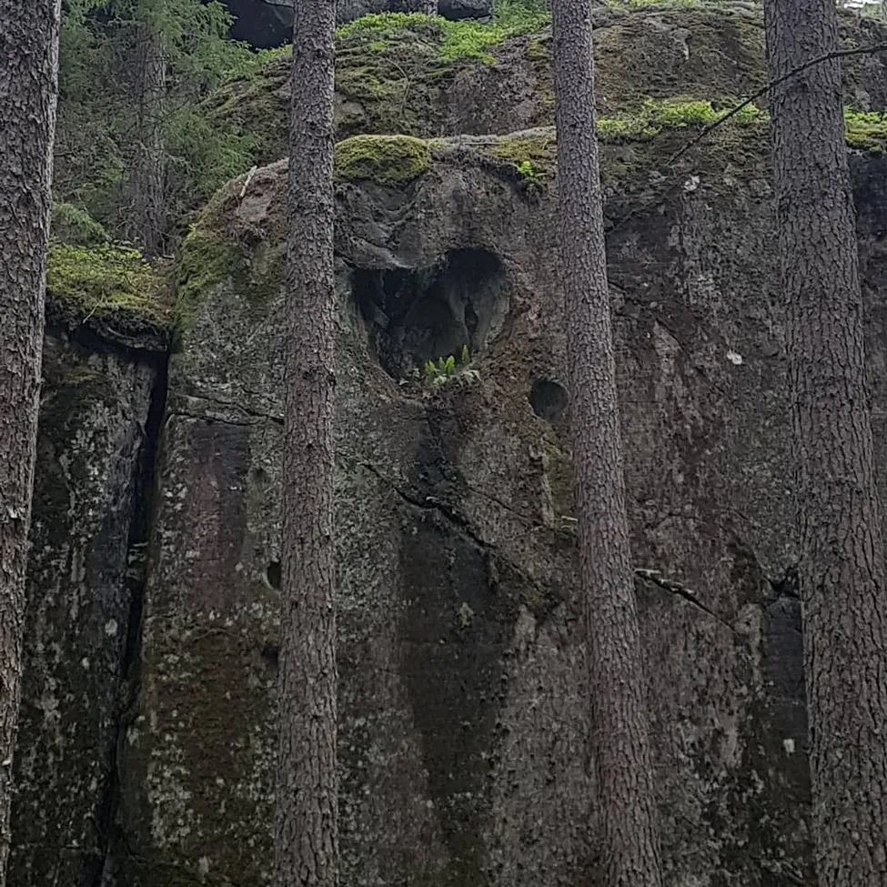 Klicka för att förstora