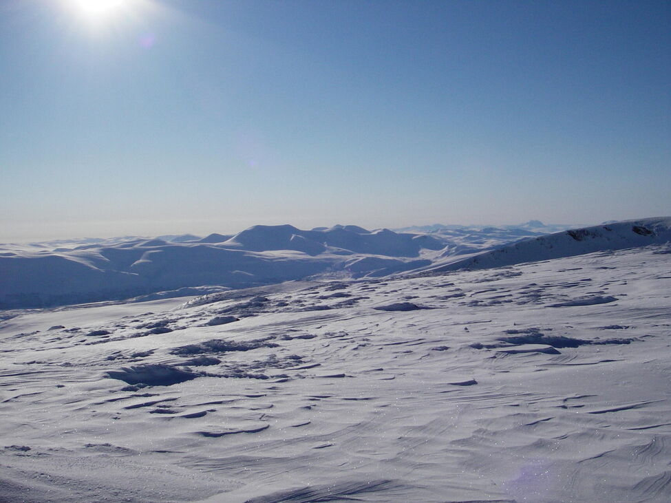 Klicka för att förstora