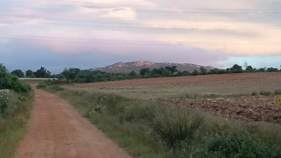 Klicka för att förstora