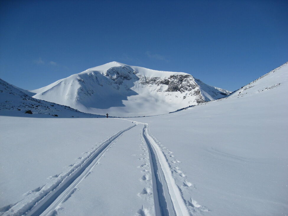 Klicka för att förstora