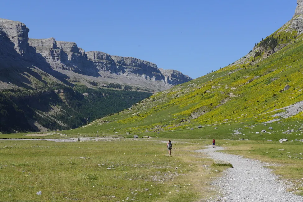 Klicka för att förstora