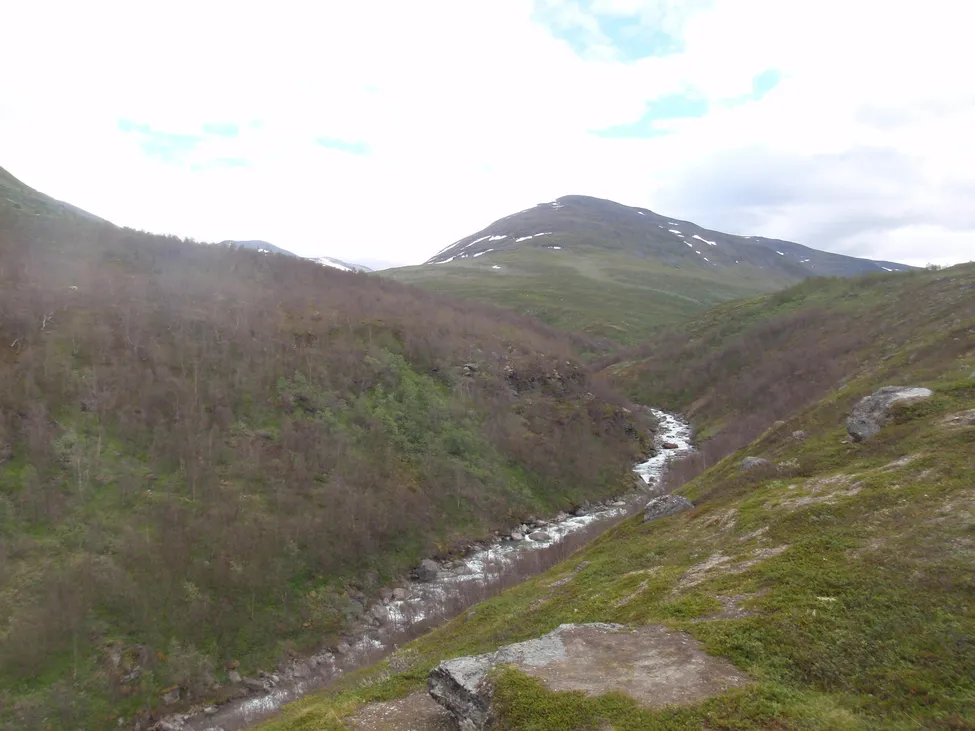 Klicka för att förstora