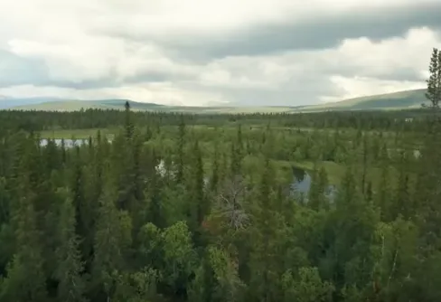 På tur genom Pärlälvens urskog