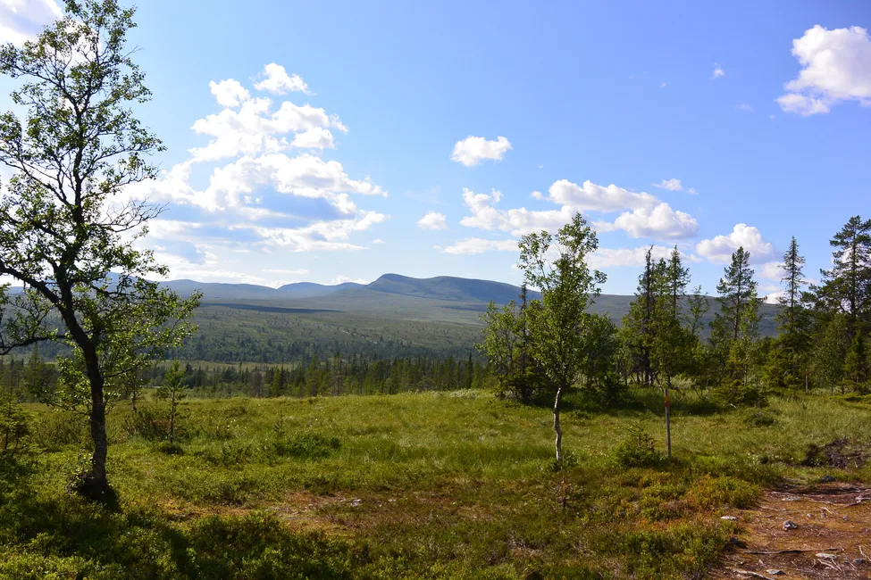 Klicka för att förstora