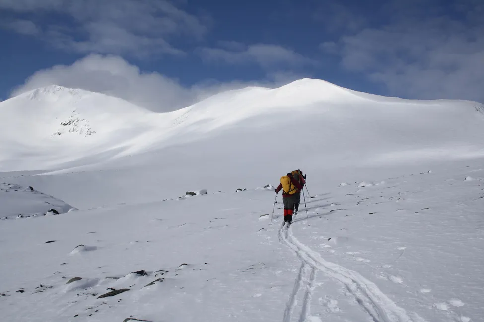 Klicka för att förstora