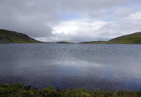 I Sareks utkanter 4 (28 juni - 1 juli)