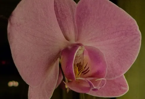 Ny kamera och lite annat