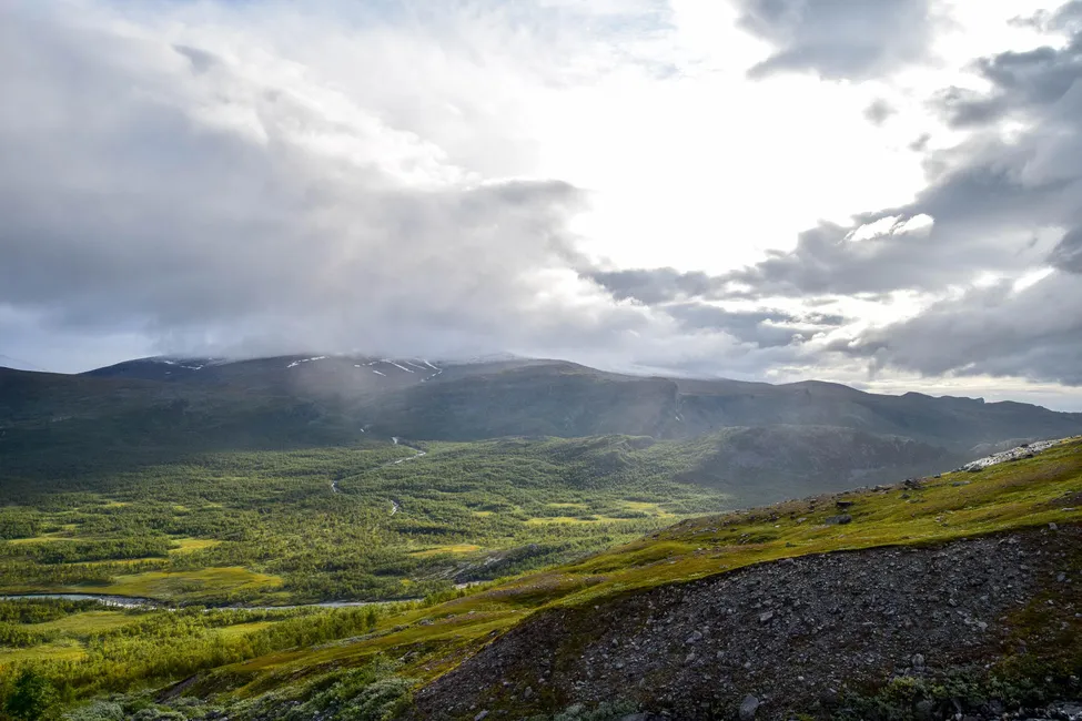 Klicka för att förstora