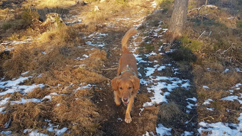 Klicka för att förstora