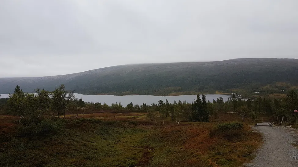 Klicka för att förstora