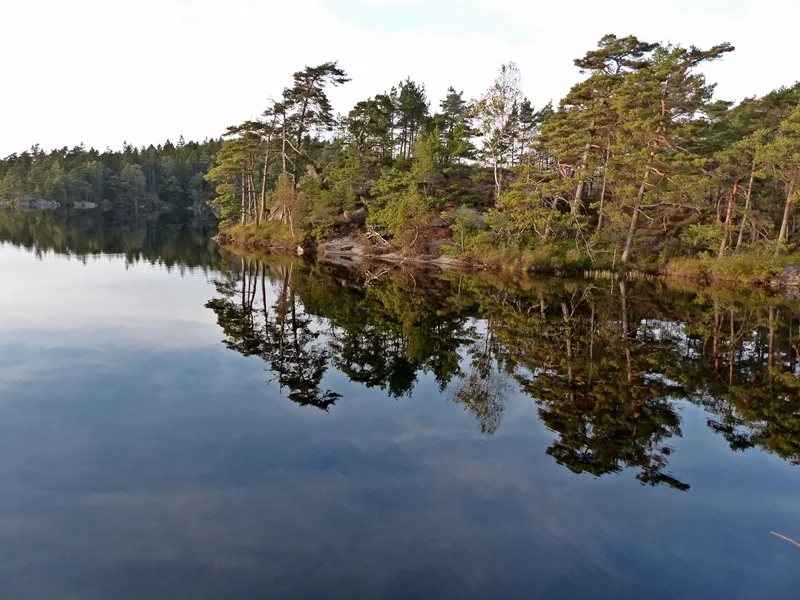Klicka för att förstora